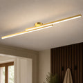Modern Metal Linear Ceiling Light