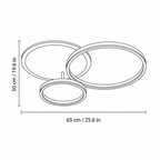 Modern Metal Ring-Cluster Ceiling Light