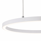 Modern Metal Ring Pendant Light