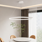 Modern Metal Ring Pendant Light