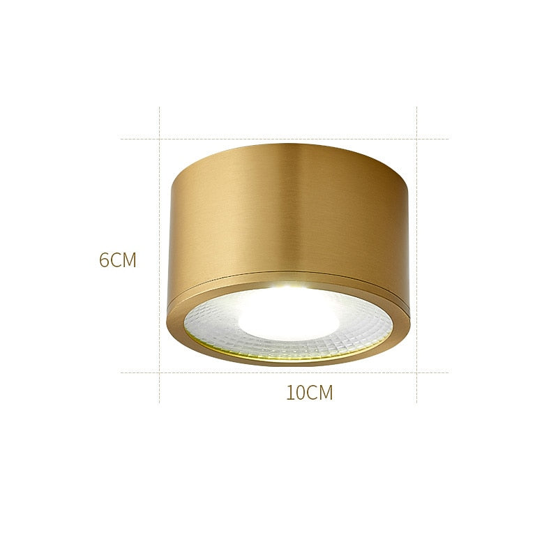 Modern Metal Cylinder Ceiling Light