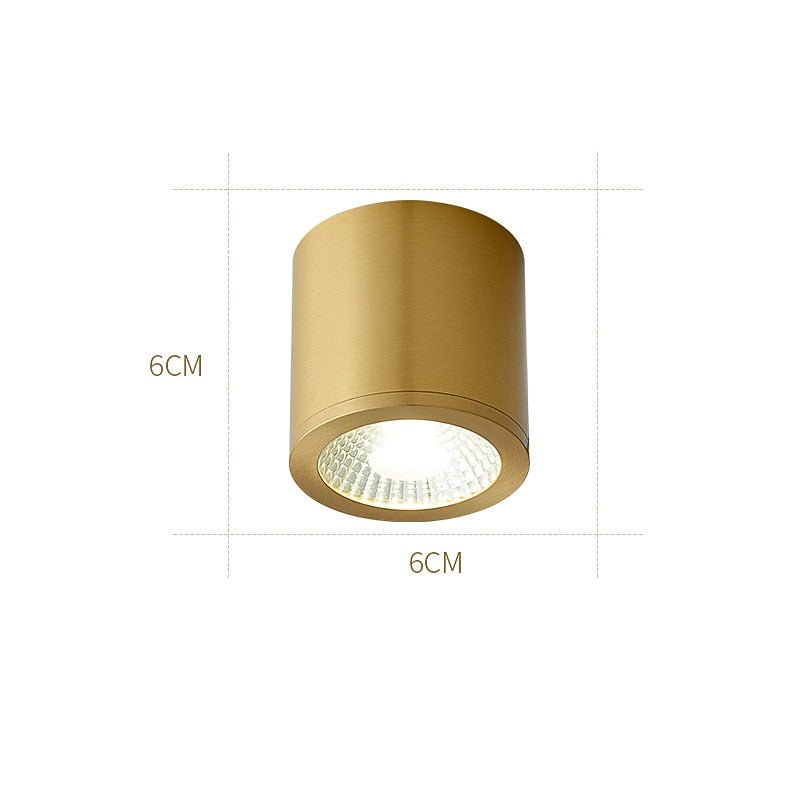 Modern Metal Cylinder Ceiling Light