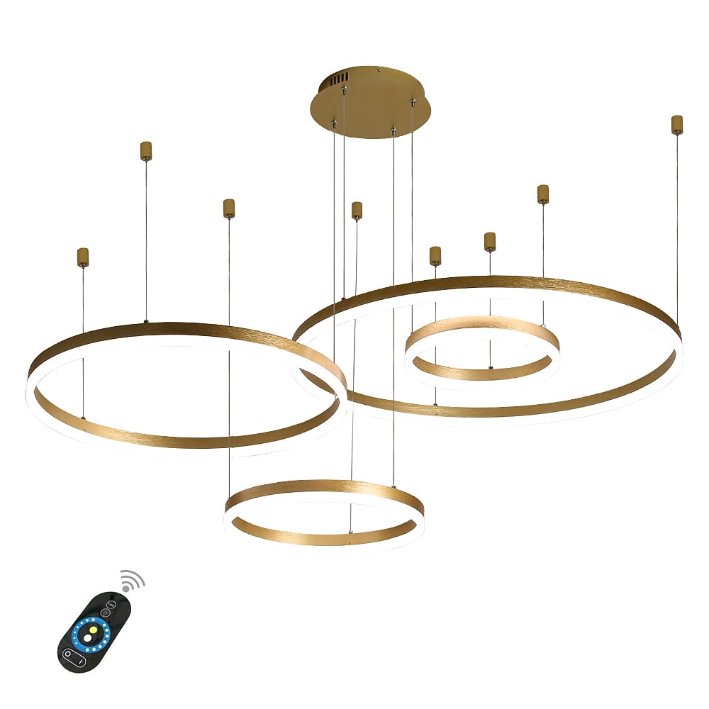 Modern Metal Ring Chandelier
