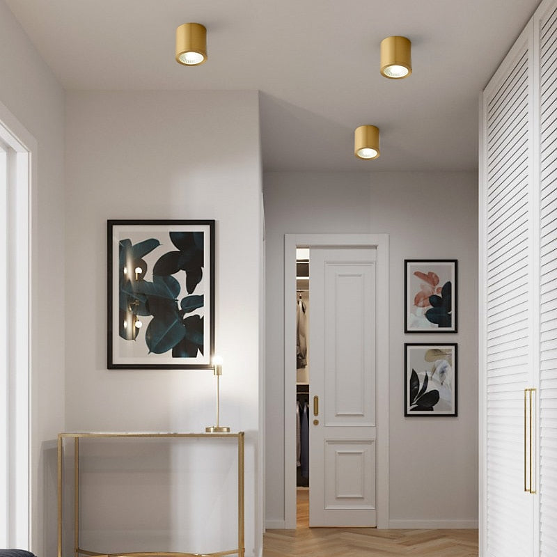 Modern Metal Cylinder Ceiling Light