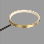 Modern Acrylic Ring-Branch Ceiling Light