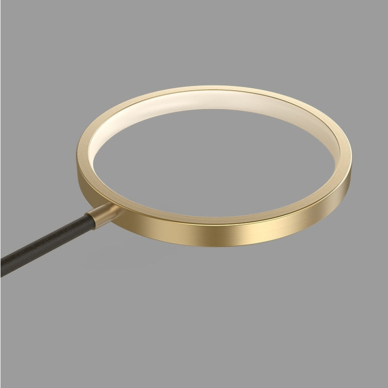 Modern Acrylic Ring-Branch Ceiling Light