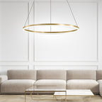 Modern Metal Ring Pendant Light