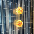 Modern Glass Globe Wall Light