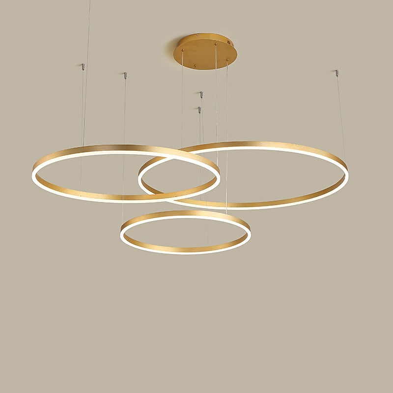 Modern Metal Ring Pendant Light