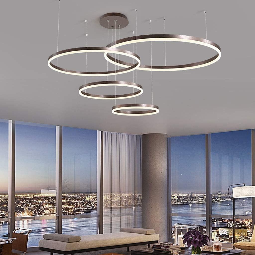 Modern Metal Ring Chandelier