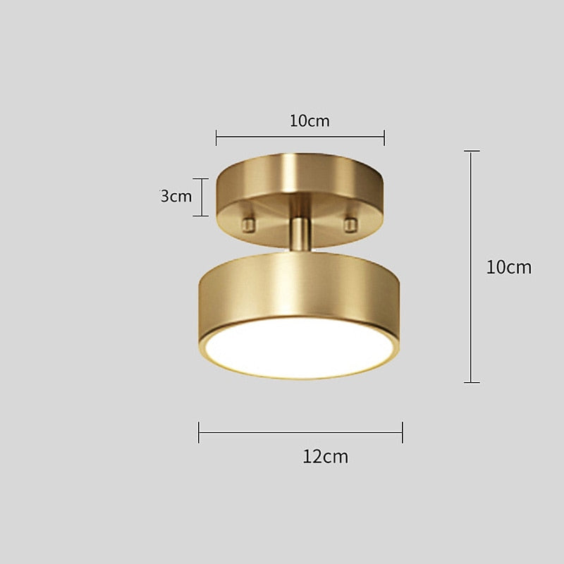 Vintage Metal Spotlight Ceiling Light