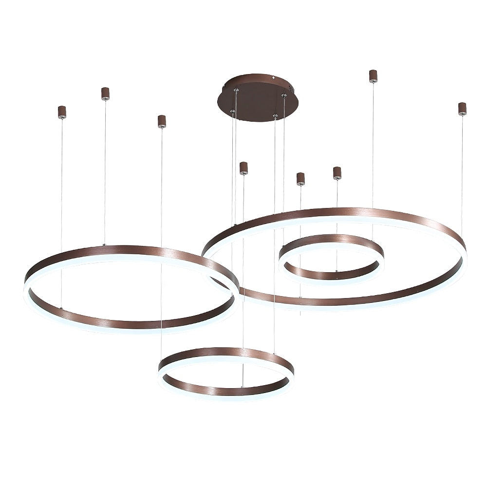 Modern Metal Ring Chandelier