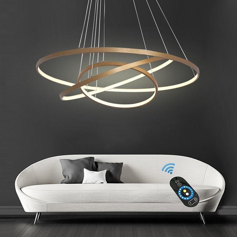 Modern Metal Ring Pendant Light
