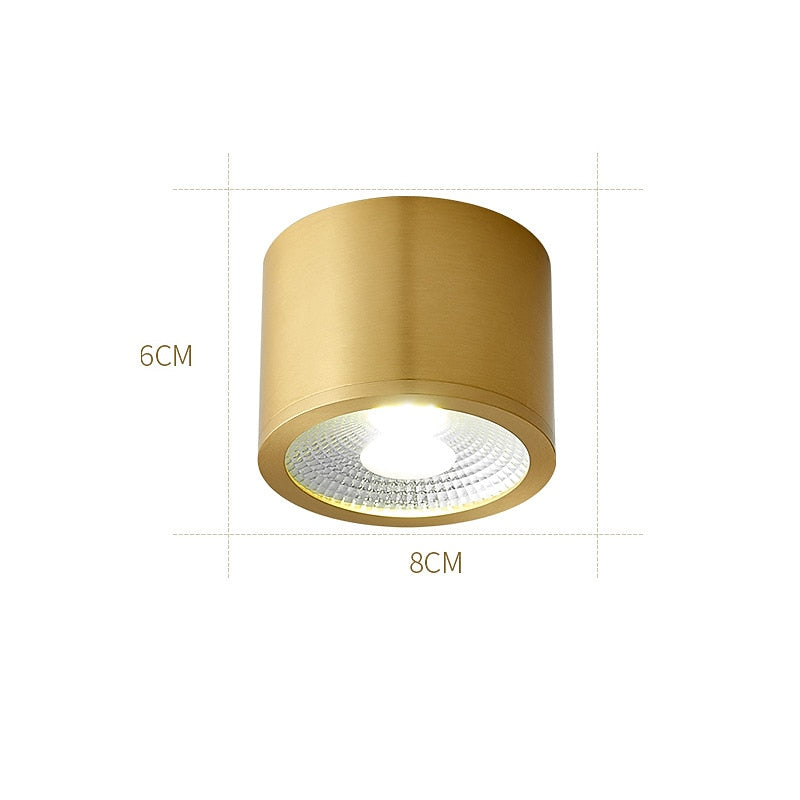 Modern Metal Cylinder Ceiling Light