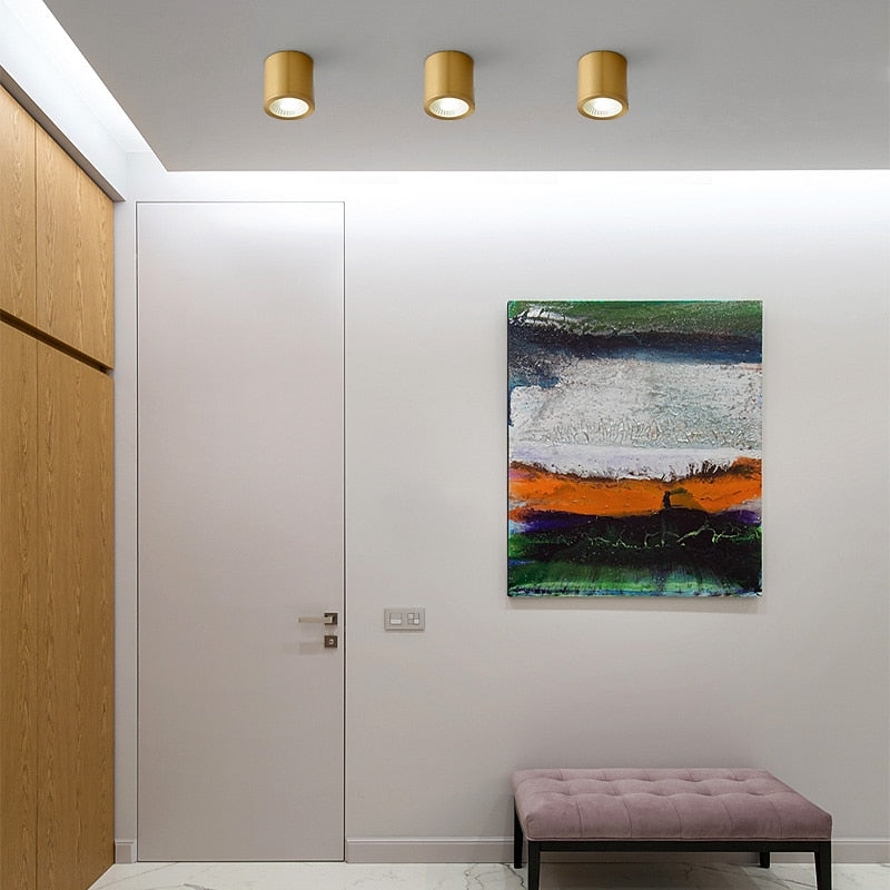 Modern Metal Cylinder Ceiling Light